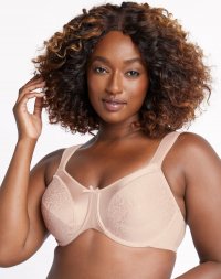 Bali Satin Tracings Underwire Minimizer Bra Rose Sale Online