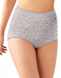 Bali Skimp Skamp Brief Panty Magnolia Mesh Print Sale Online